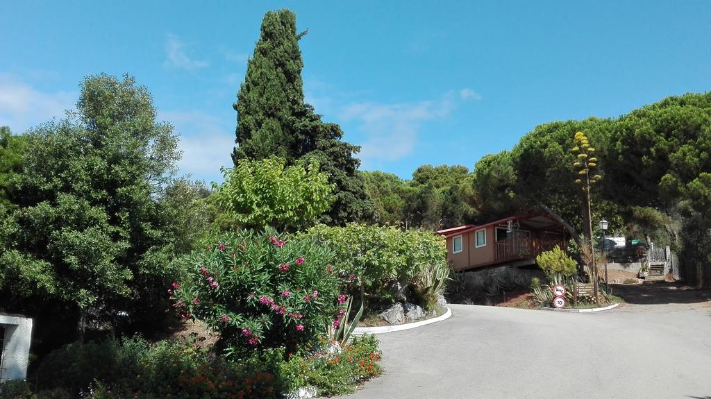 Camping Kanguro Sant Pol De Mar Eksteriør billede